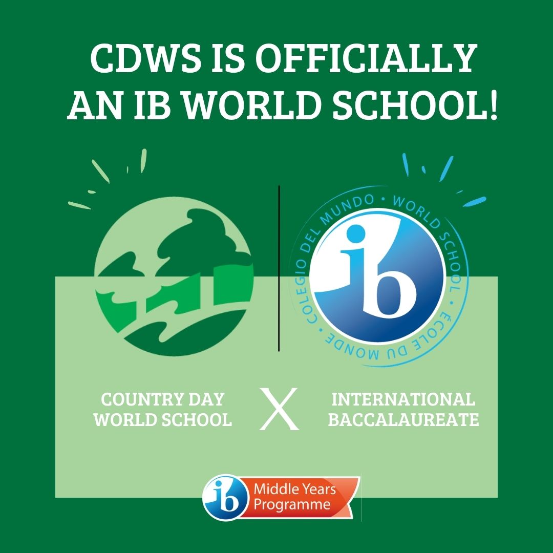 IB World School