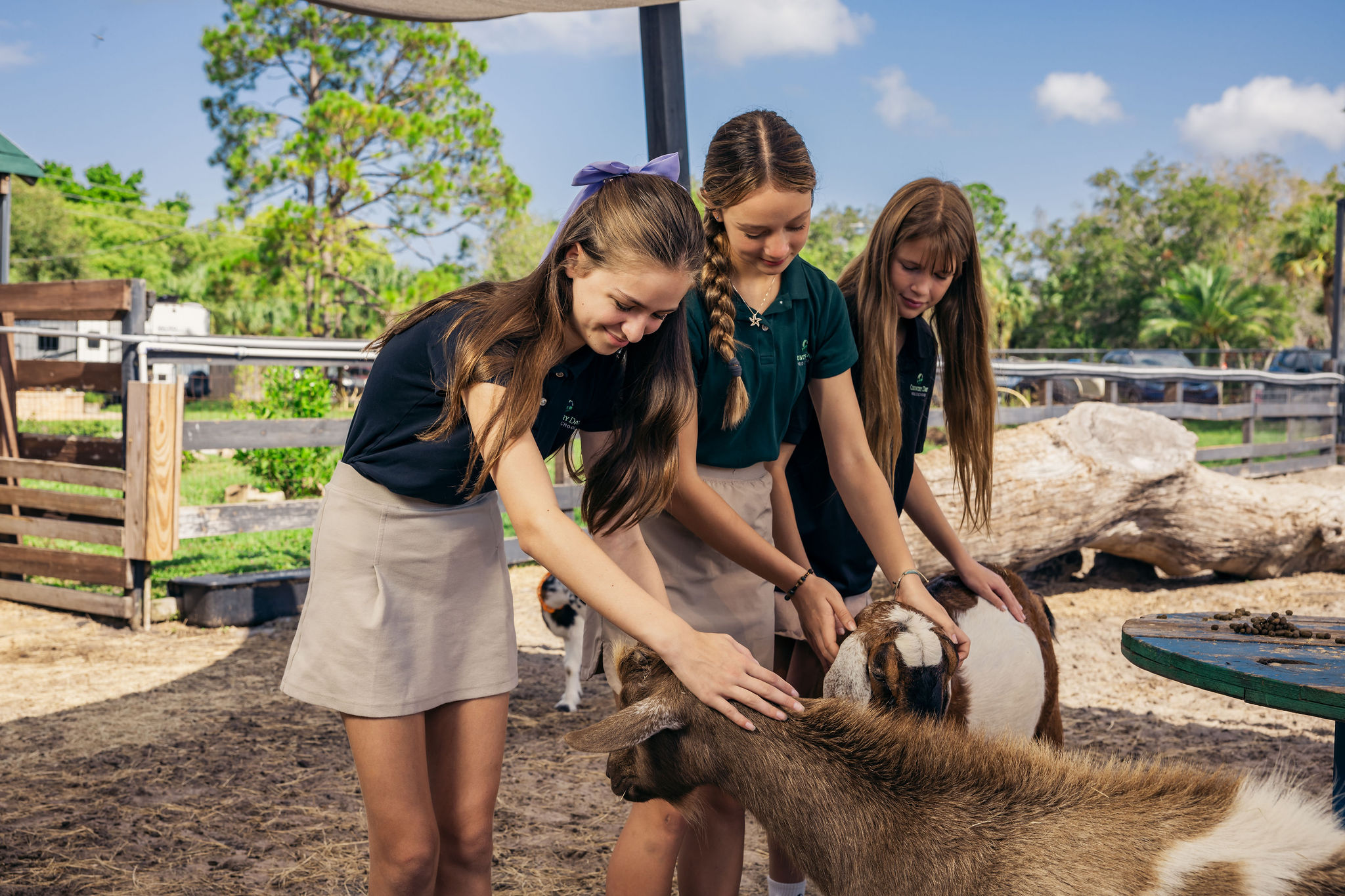 A Holistic and Innovative Curriculum Beyond Academics