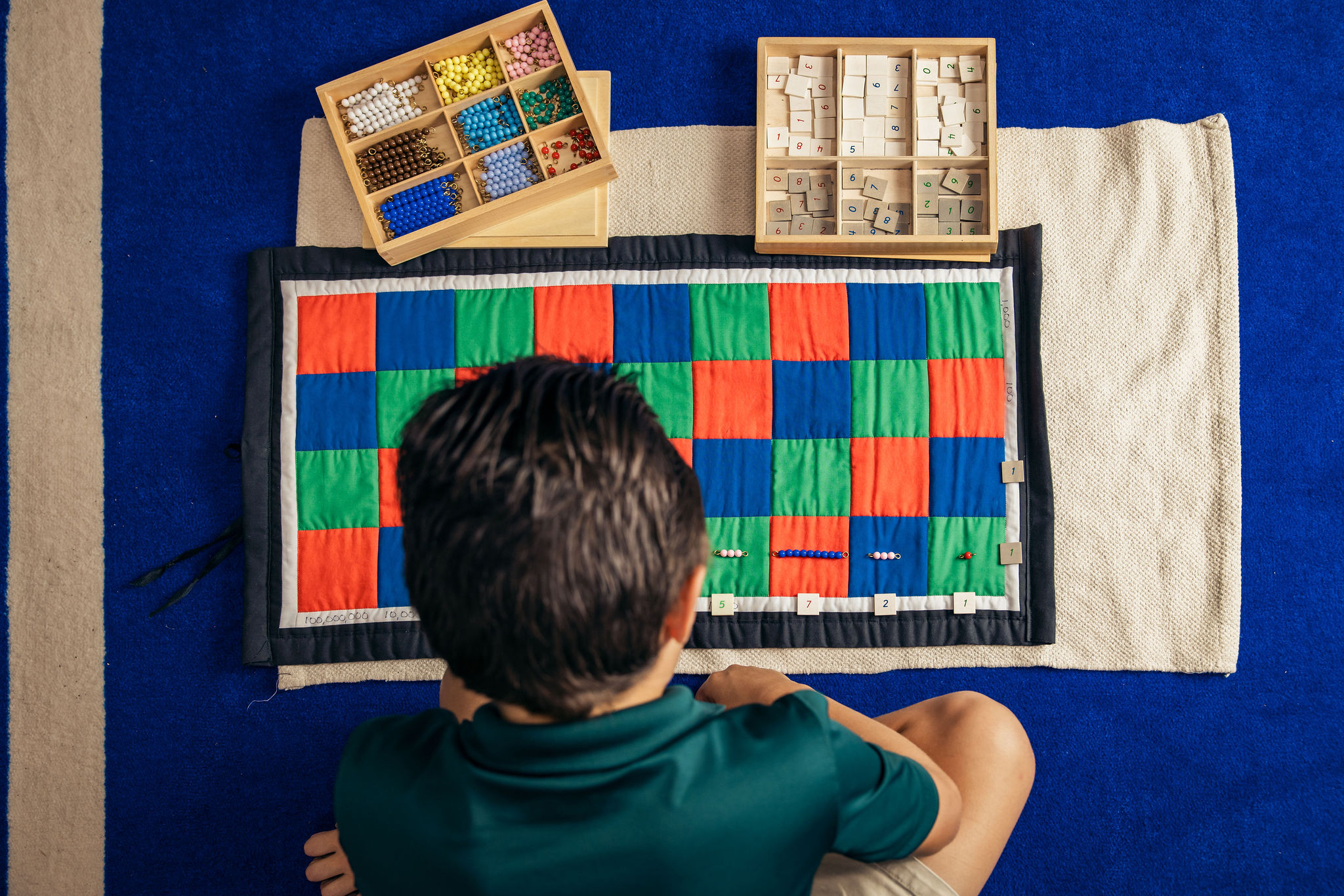 Freedom Within Curated Limits and Educational Milestones